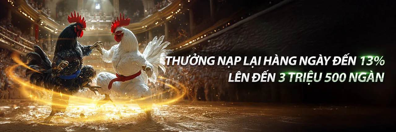 Đá gà kịch tính tại 33win69 Nổ Hũ